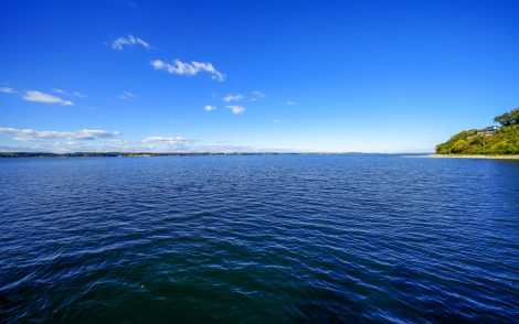 Ruhige See unter strahlend blauem Himmel. Sanfte Wellen glitzern, im Hintergrund grüne Küstenlinie. Ein friedlicher, sonniger Tag am Wasser.