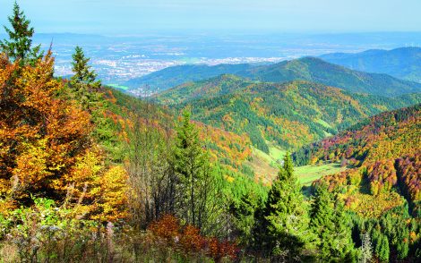 Herbstliche Schwarzwaldlandschaft mit bunten Laubwäldern, grünen Tannen und einem Talblick auf eine Stadt im Dunst. Die Farben reichen von leuchtendem Gelb über Orange bis zu tiefem Grün.