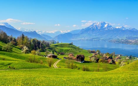 Idyllische Schweizer Landschaft mit grünen Hügeln, gelben Blumenwiesen und einem glitzernden See. Im Hintergrund erheben sich schneebedeckte Berge unter einem strahlend blauen Himmel.
