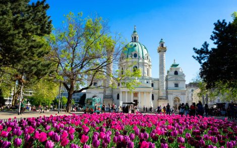 Karlskirche in Wien, Österreich, umgeben von lila Tulpen unter blauem Himmel. Menschen flanieren im Park.
