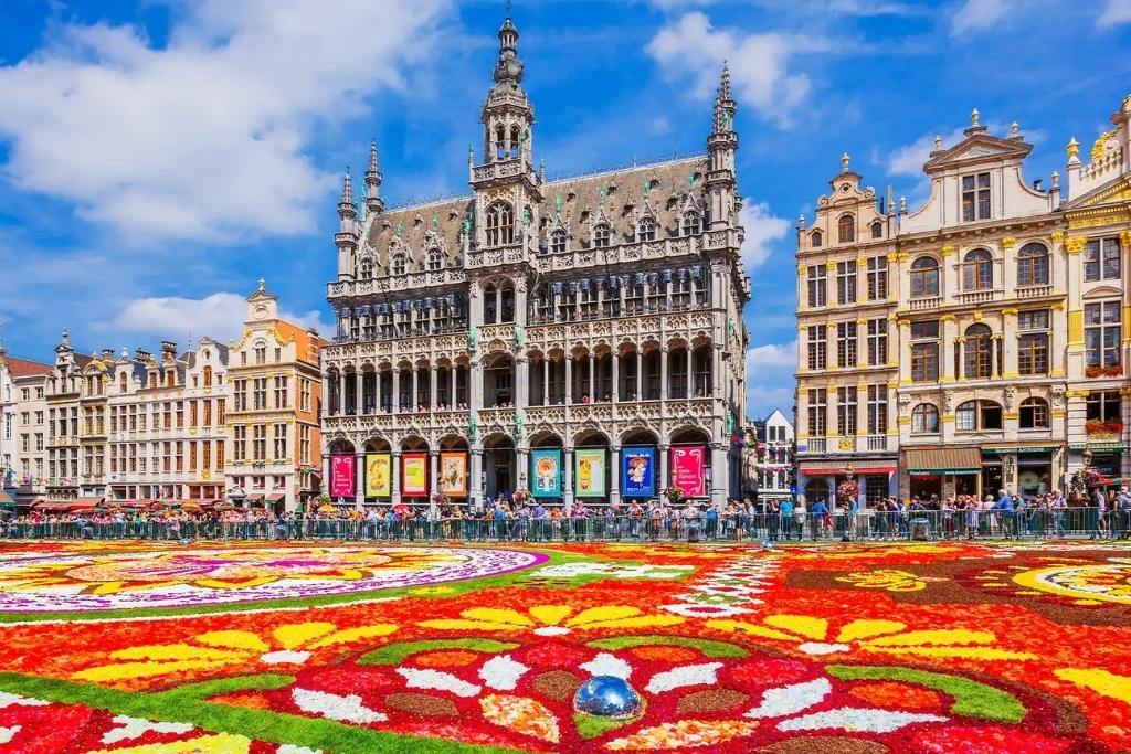 Großer Blumen-Teppich auf dem Grand Place in Brüssel. Der Blumenteppich Brüssel ist vor dem Rathaus ausgelegt, umgeben von historischen Gebäuden unter blauem Himmel.