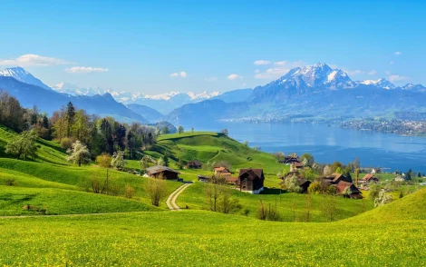 Idyllische Schweizer Landschaft mit grünen Hügeln, gelben Blumenwiesen und einem glitzernden See. Im Hintergrund erheben sich schneebedeckte Berge unter einem strahlend blauen Himmel.