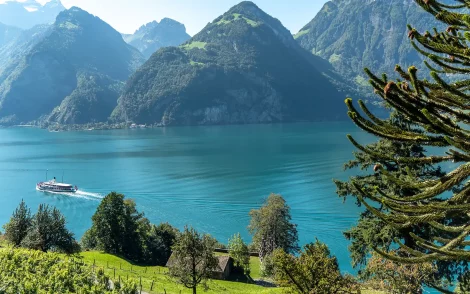Panorama des Vierwaldstättersees in der Schweiz mit Bergen, einem Schiff auf dem türkisfarbenen Wasser und üppiger grüner Vegetation im Vordergrund.