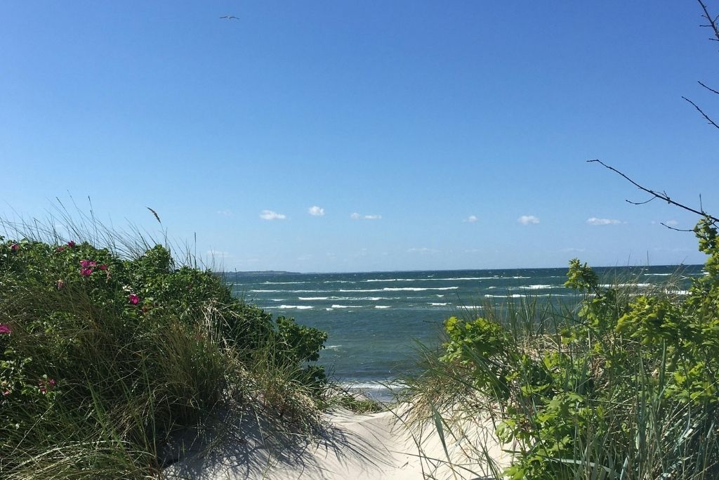 Sanddüne mit Gras und Rosenbüschen führt zum Ostseestrand auf Rügen unter blauem Himmel. Wellen sind sichtbar, ideal für eine Ostsee-Auszeit.